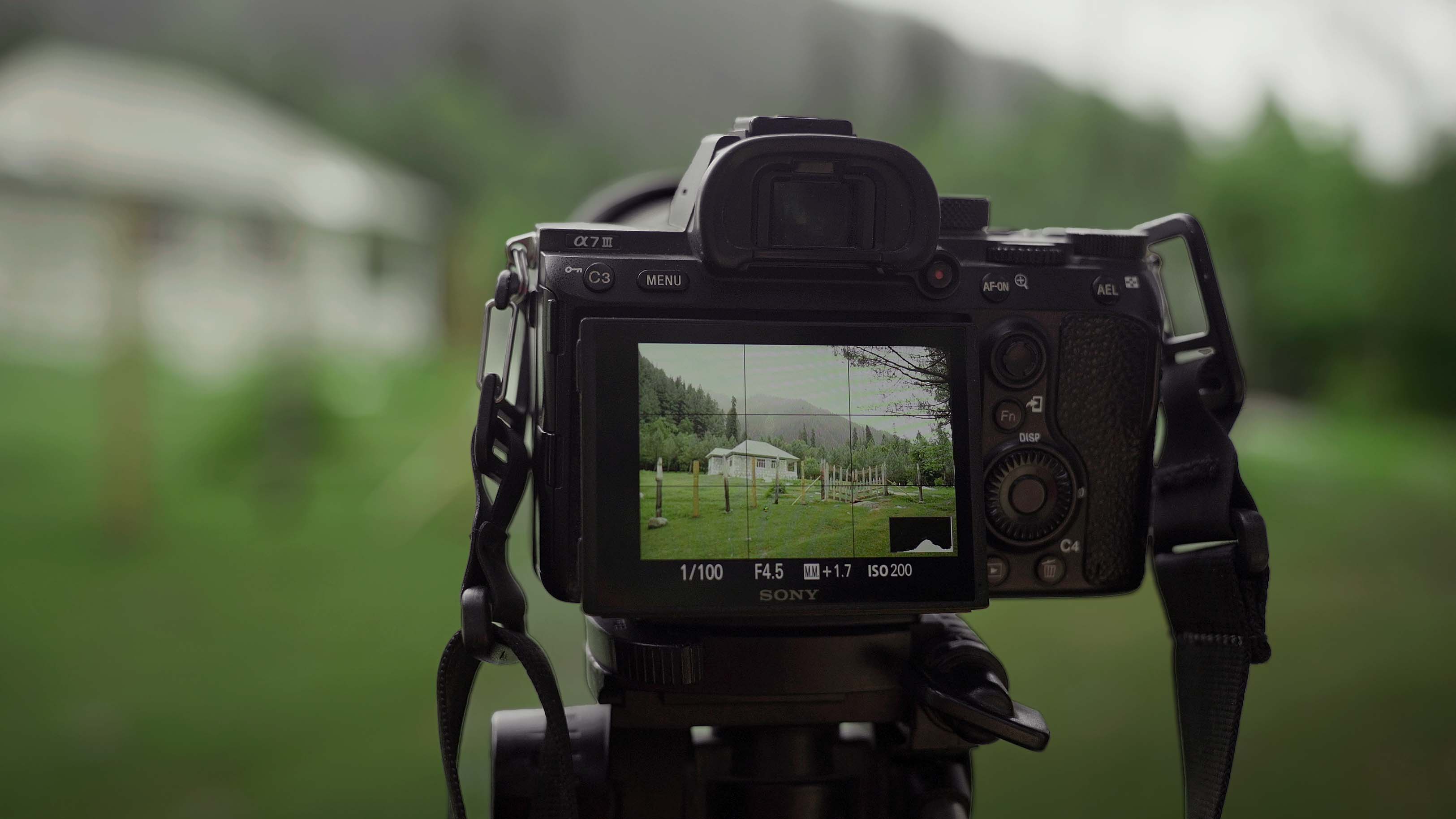 The Business of Photography Made Simple